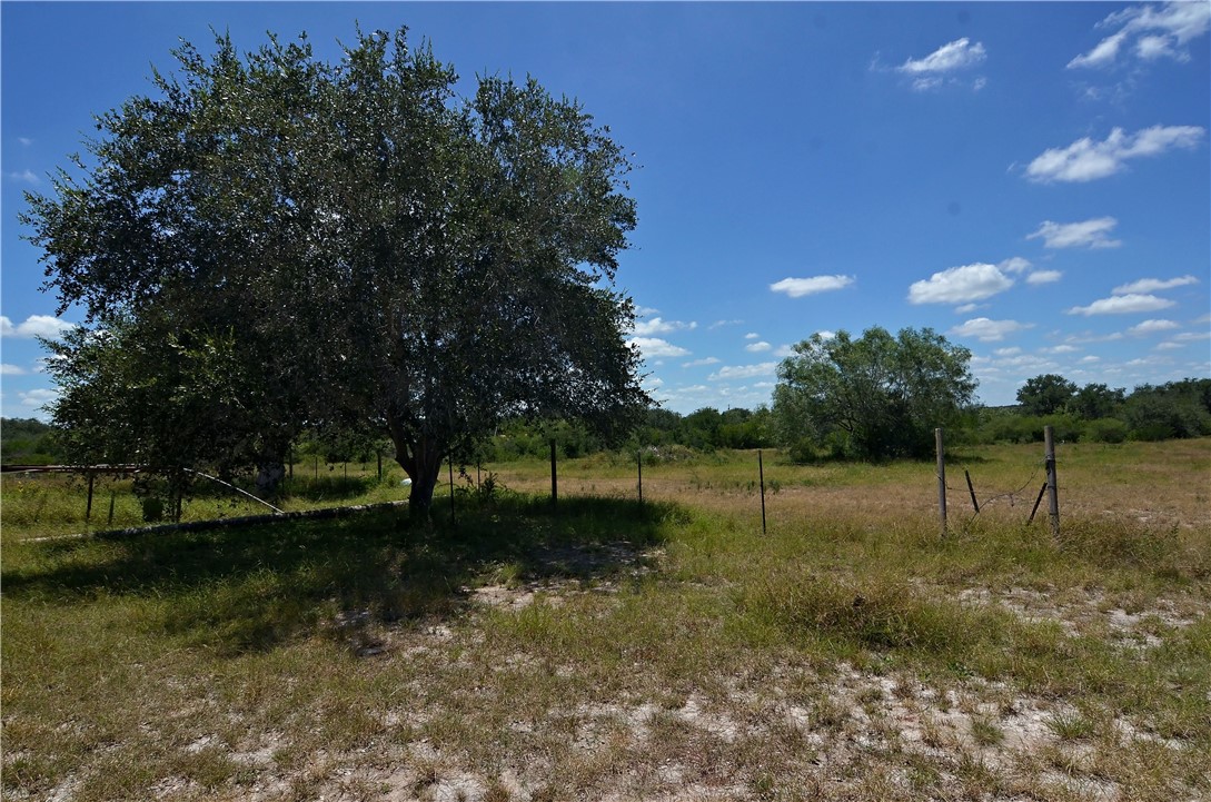 1641 Charco Property Photo 8