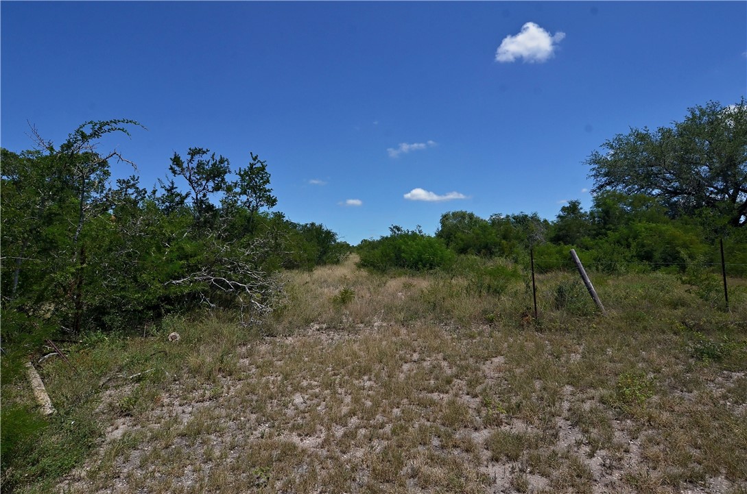 1641 Charco Property Photo 10
