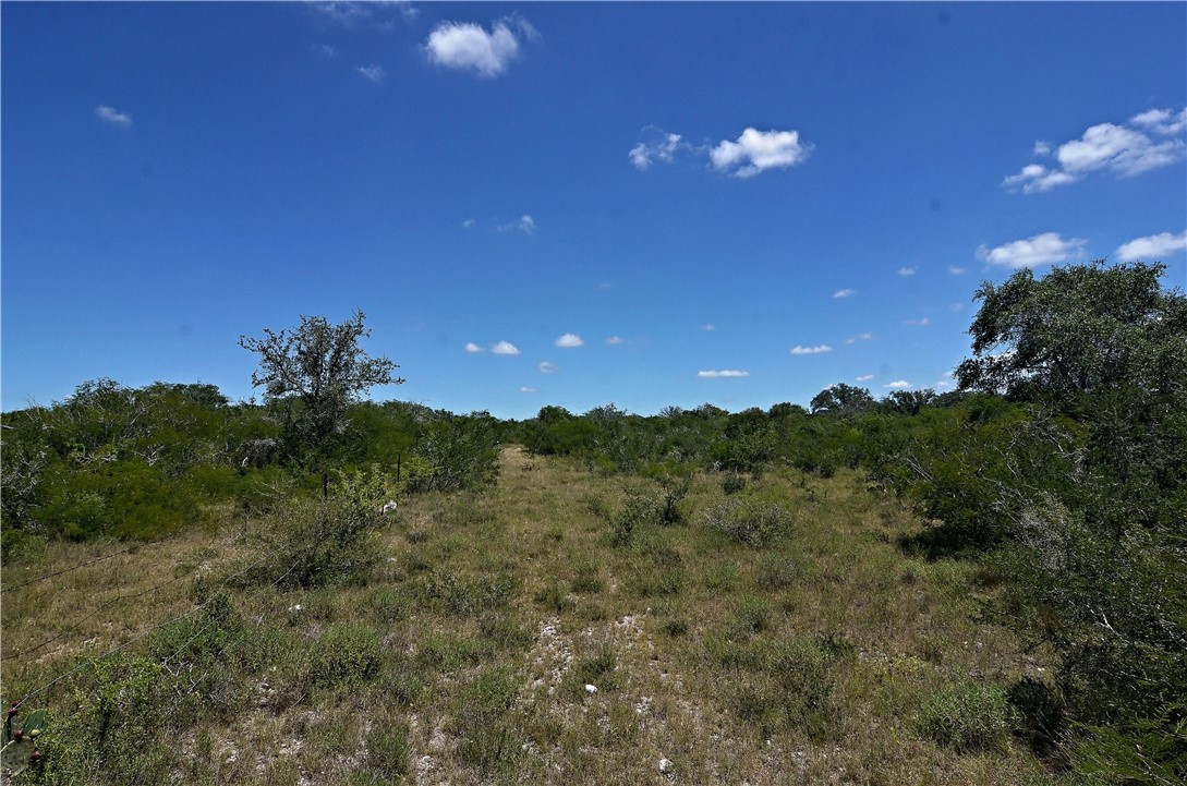 1641 Charco Property Photo 13
