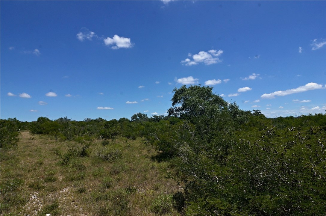 1641 Charco Property Photo 14