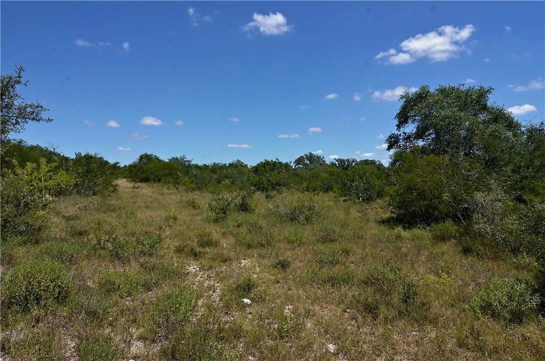 1641 Charco Property Photo 15