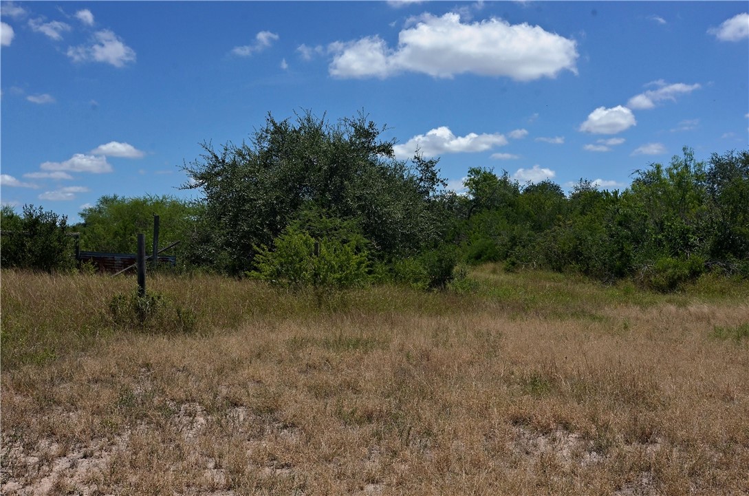 1641 Charco Property Photo 18