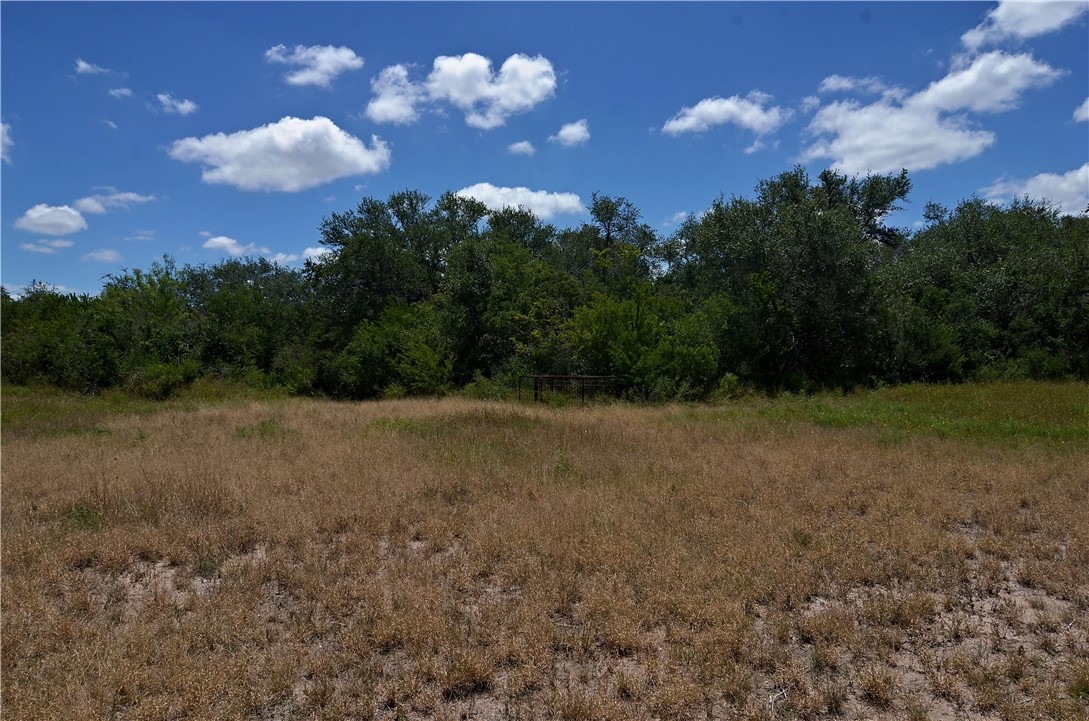 1641 Charco Property Photo 19