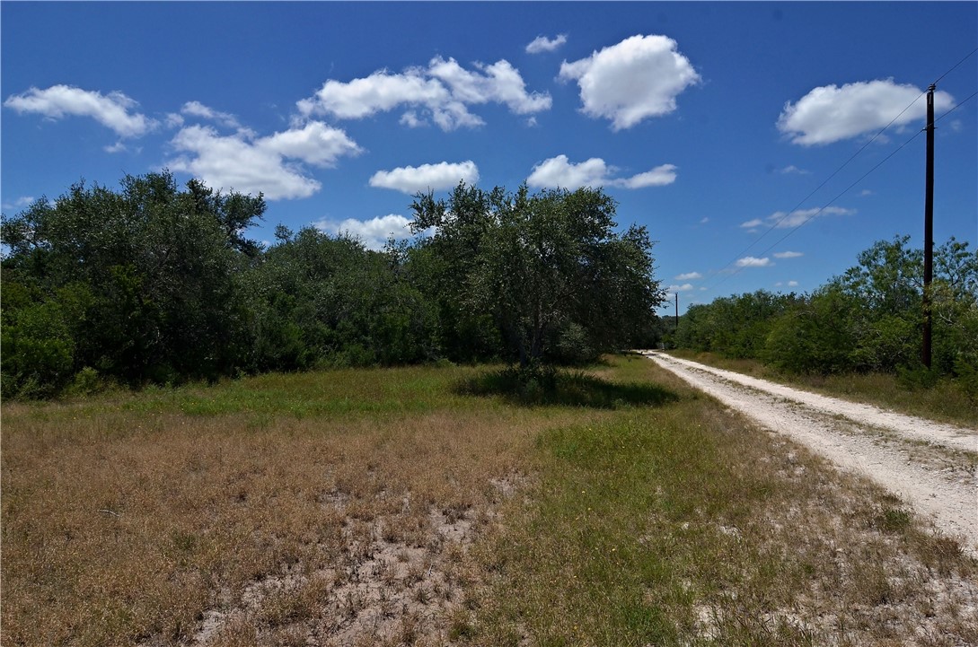1641 Charco Property Photo 20