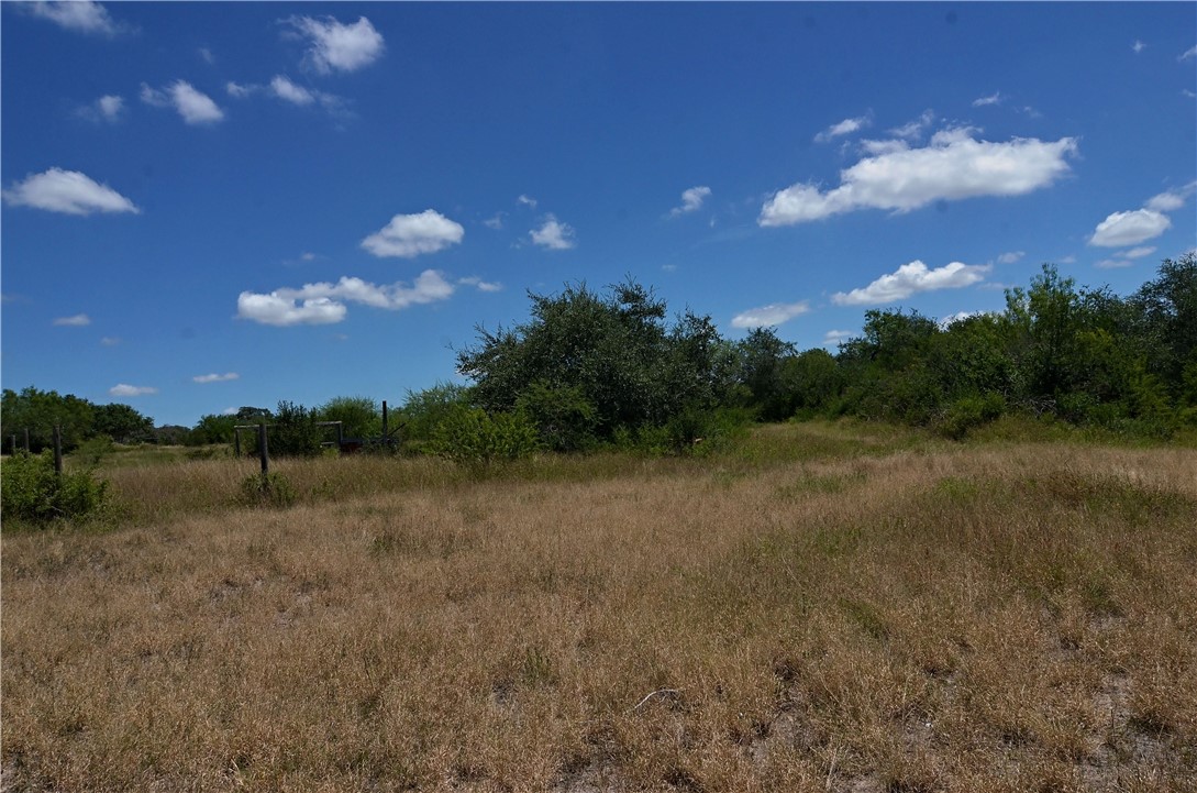 1641 Charco Property Photo 22