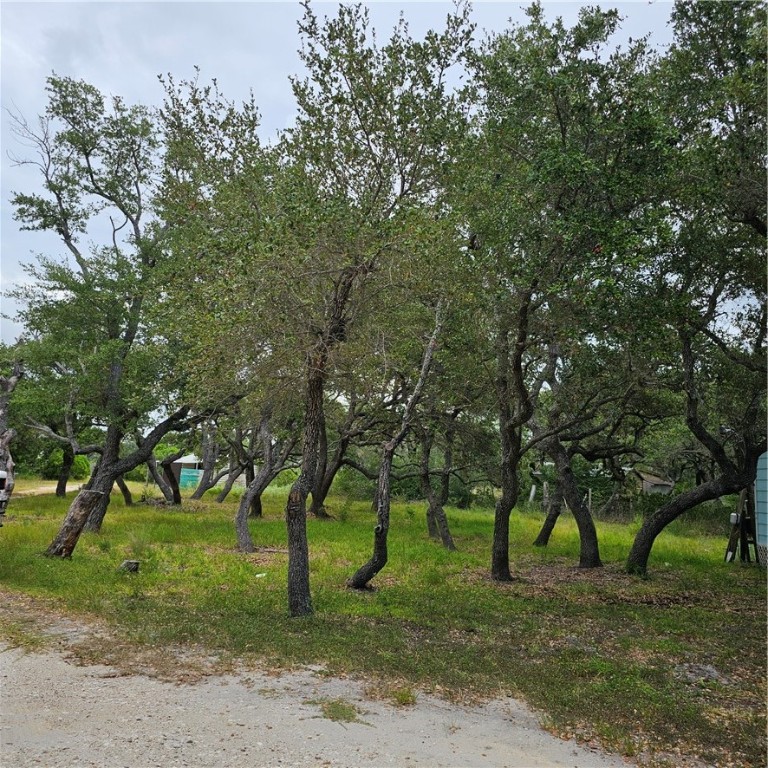419r Rabbit Run Rd Property Photo 1