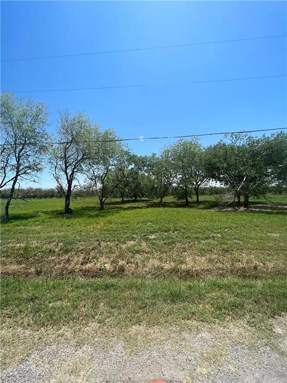 12509 Cr 1272 Property Photo 1