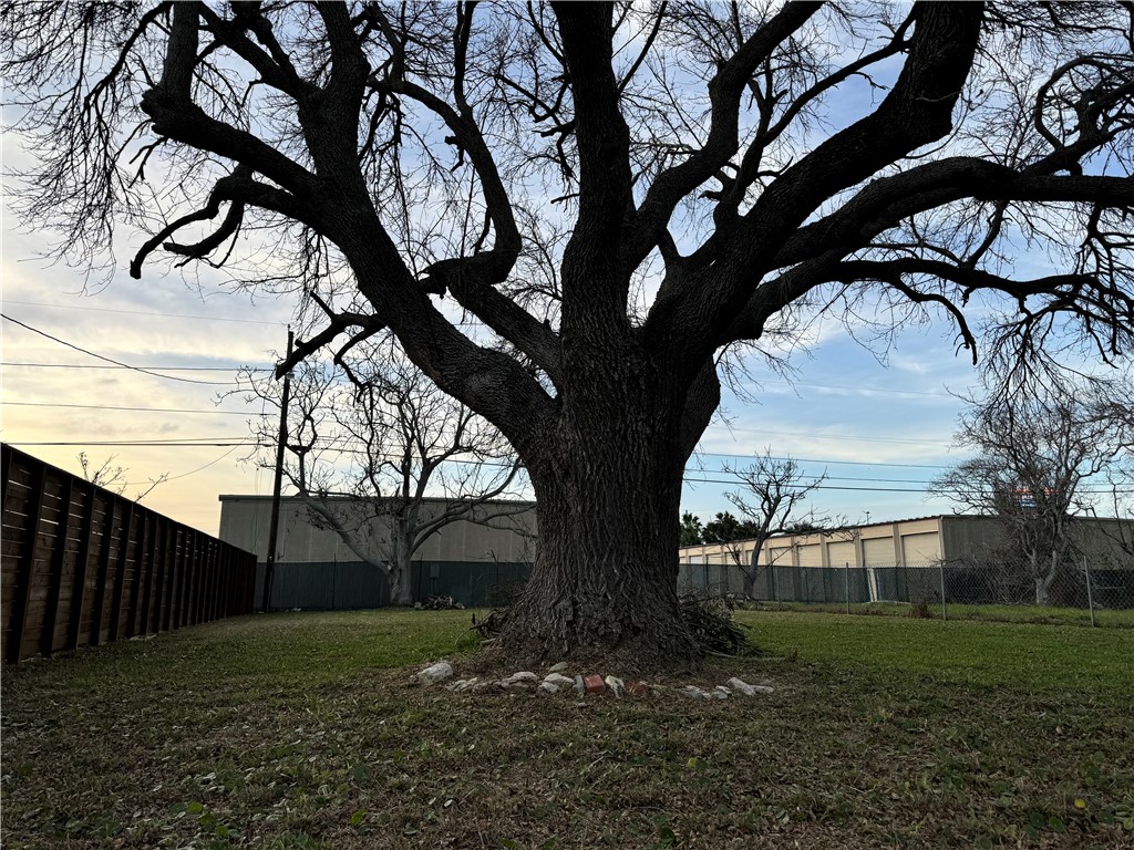 1210 Baywood Property Photo 4