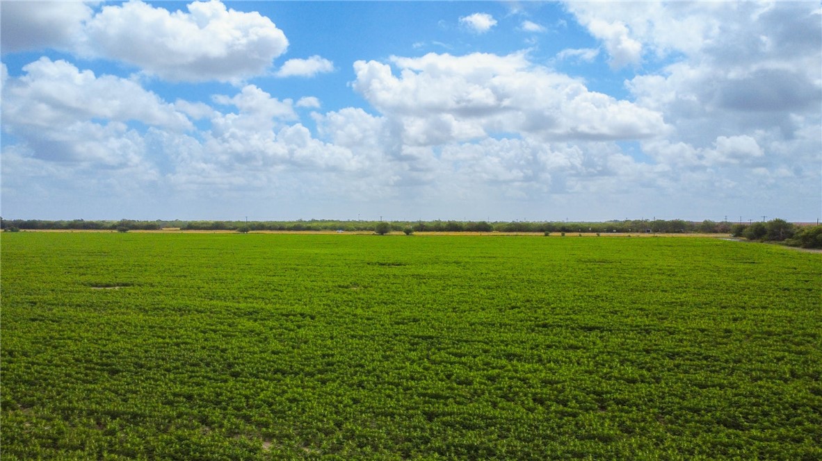 WBD N Hwy 281 Property Photo 1