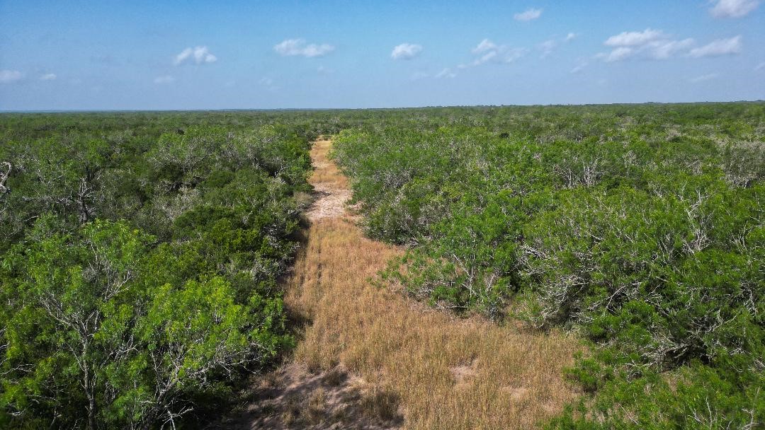 Tbd Fm 624 Property Photo