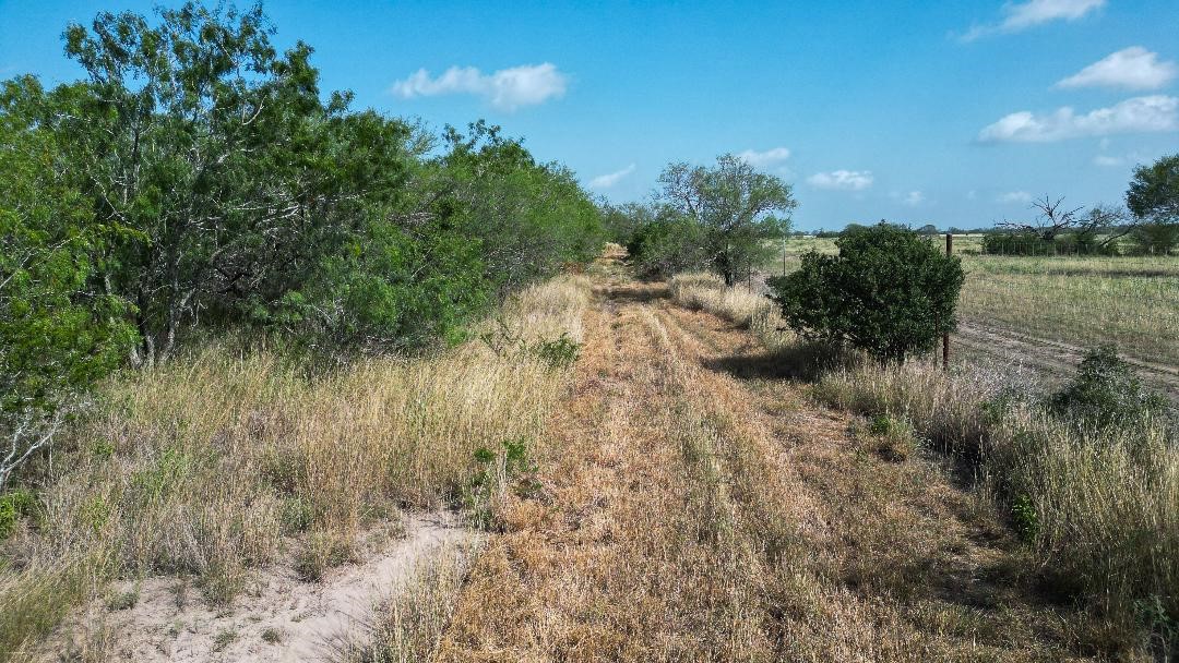 Tbd Fm 624 Property Photo 2