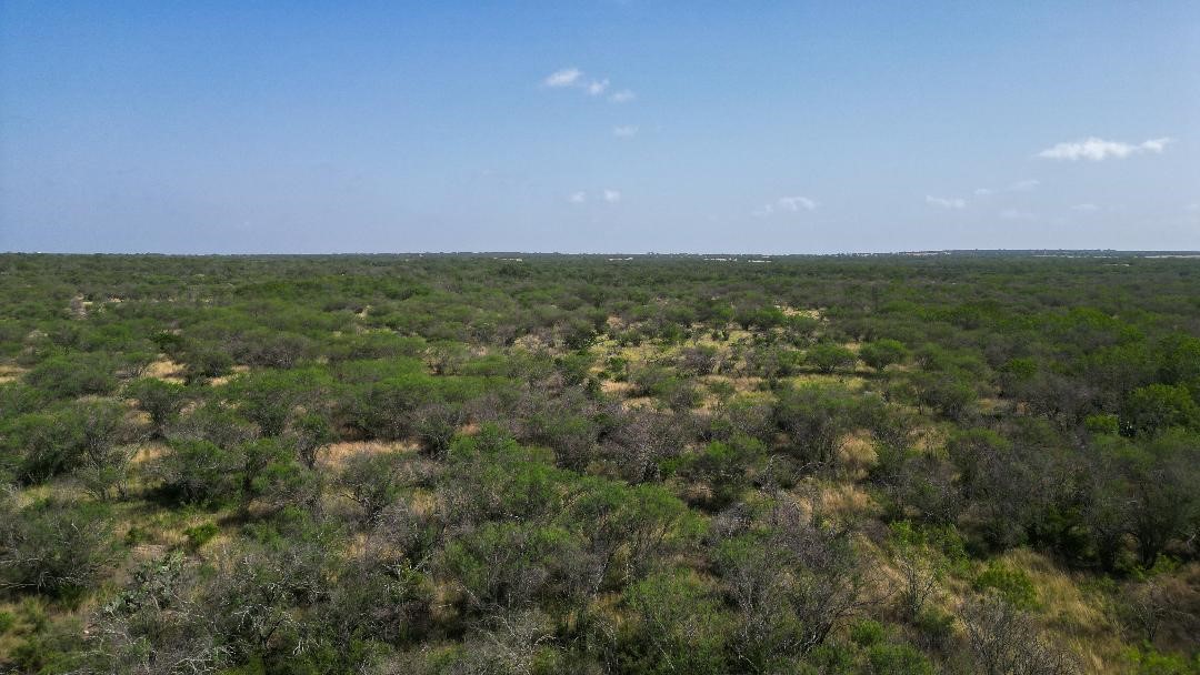 Tbd Fm 624 Property Photo 3