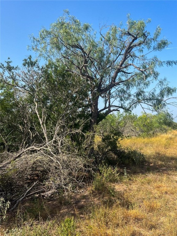 Tbd Fm 624 Property Photo 7