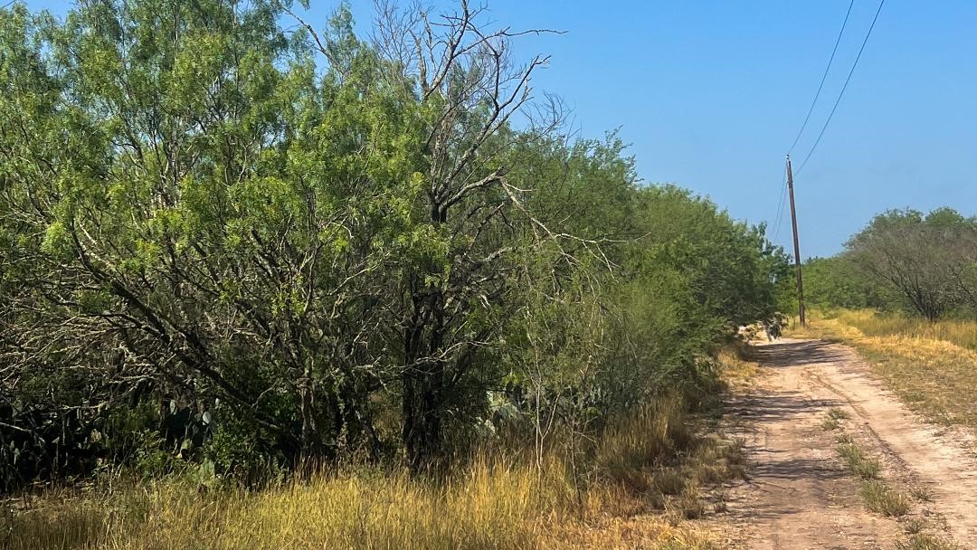Tbd Fm 624 Property Photo 11