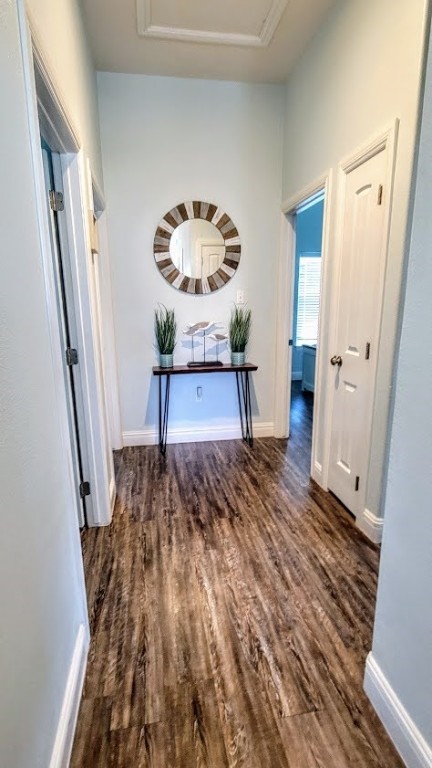 161 Barnacle Property Photo 25