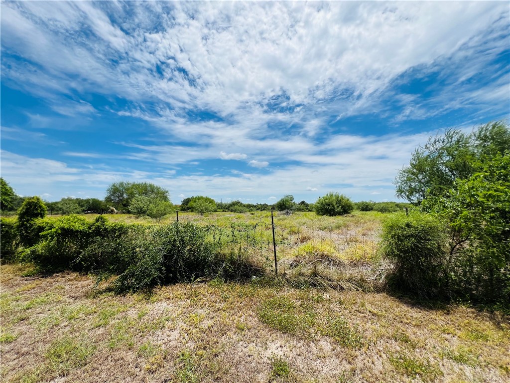 186 County Road 161 Property Photo 17