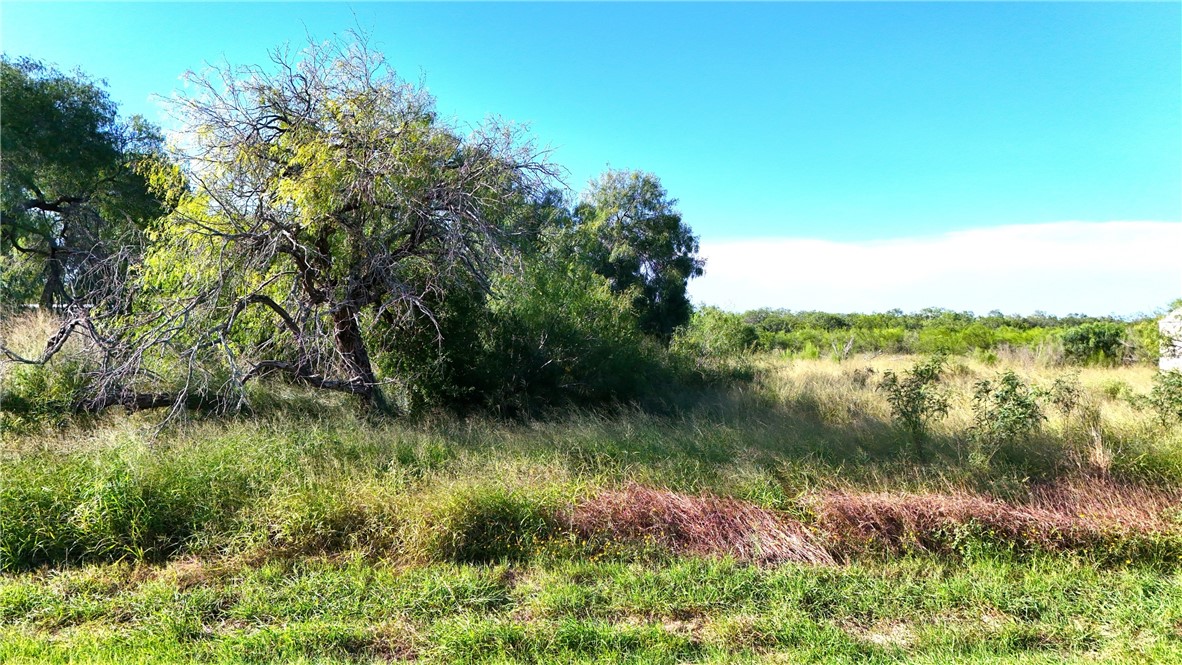 813 E Fm-771 Property Photo 1