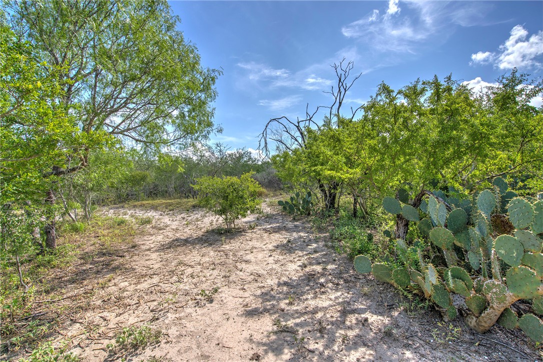 212 House Ave Property Photo 30