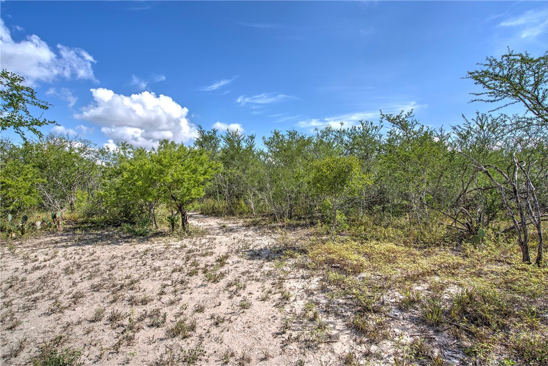 212 House Ave Property Photo 31