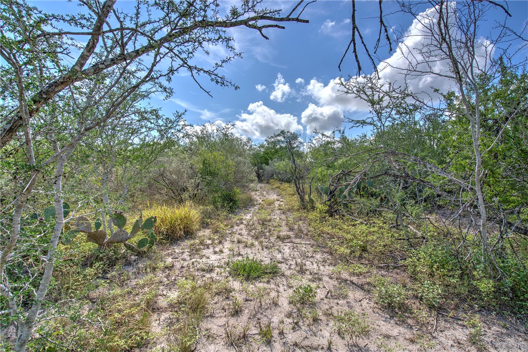 212 House Ave Property Photo 32