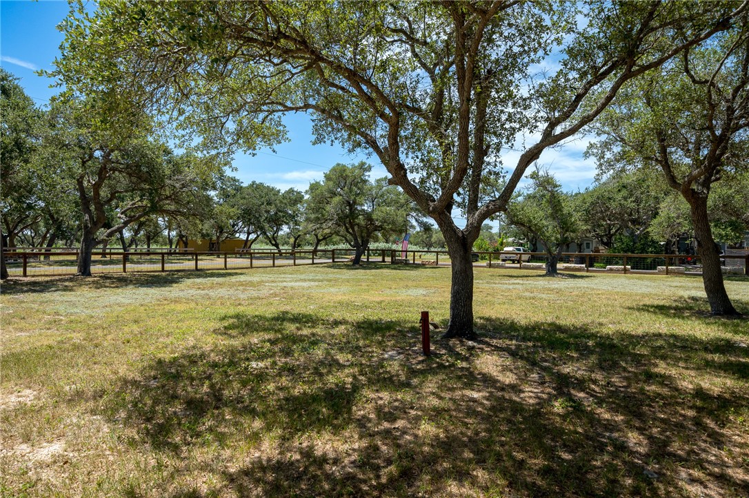 54 Portia Ave Property Photo 1