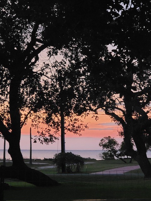 4042 Loop 1781 Property Photo 15