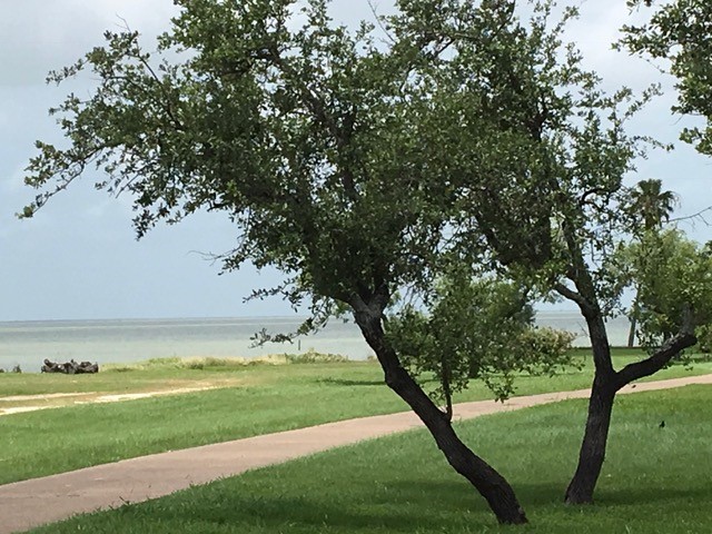 4058 Loop 1781 Property Photo 15