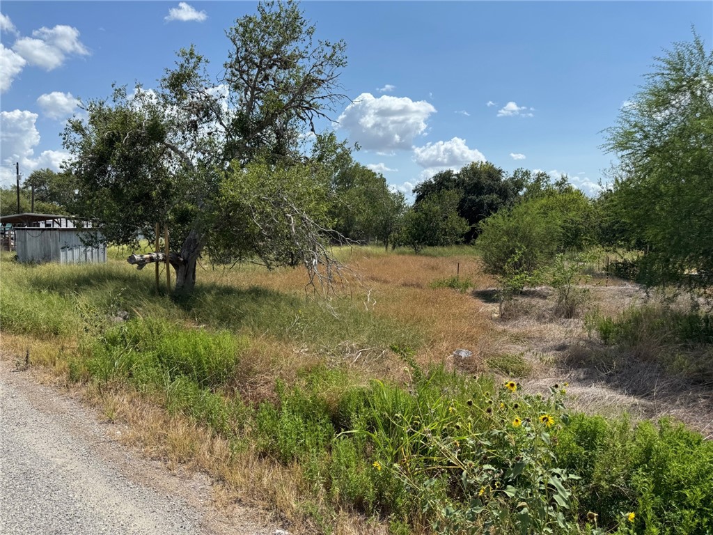 25125 County Road 201 Property Photo 1