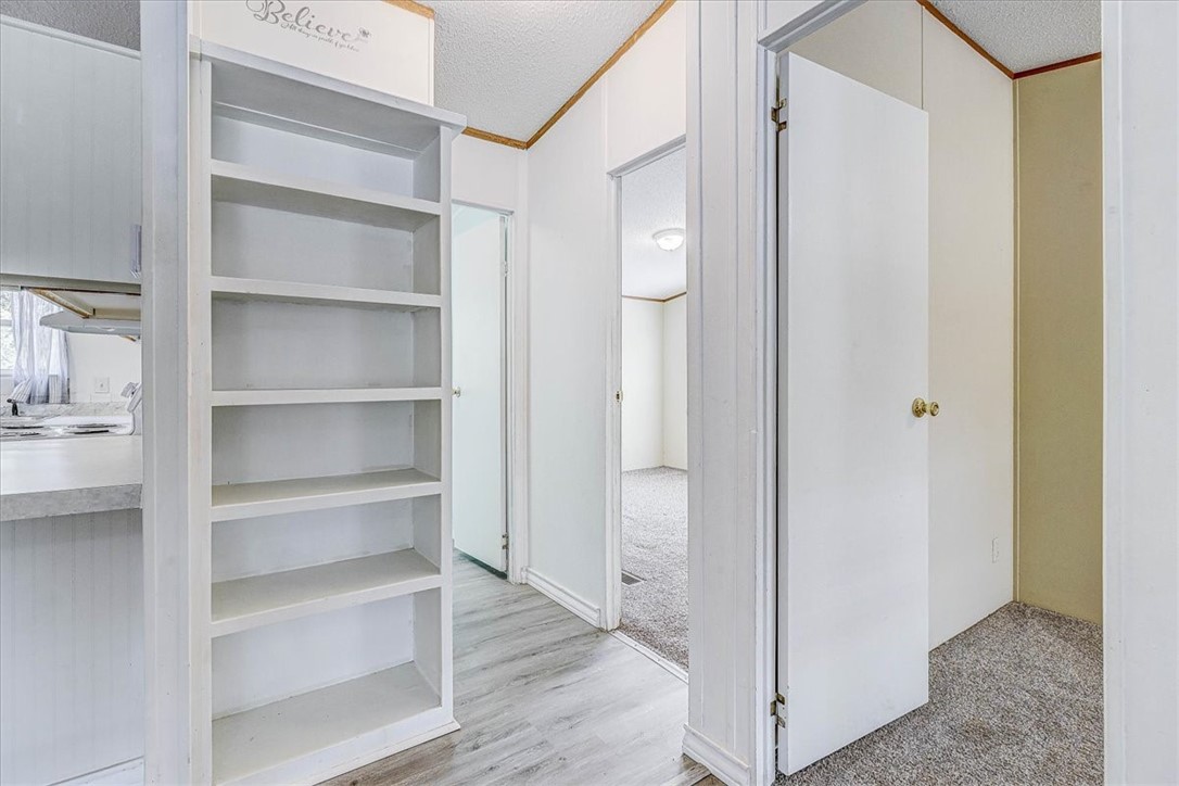 62 Portia Ave Property Photo 21