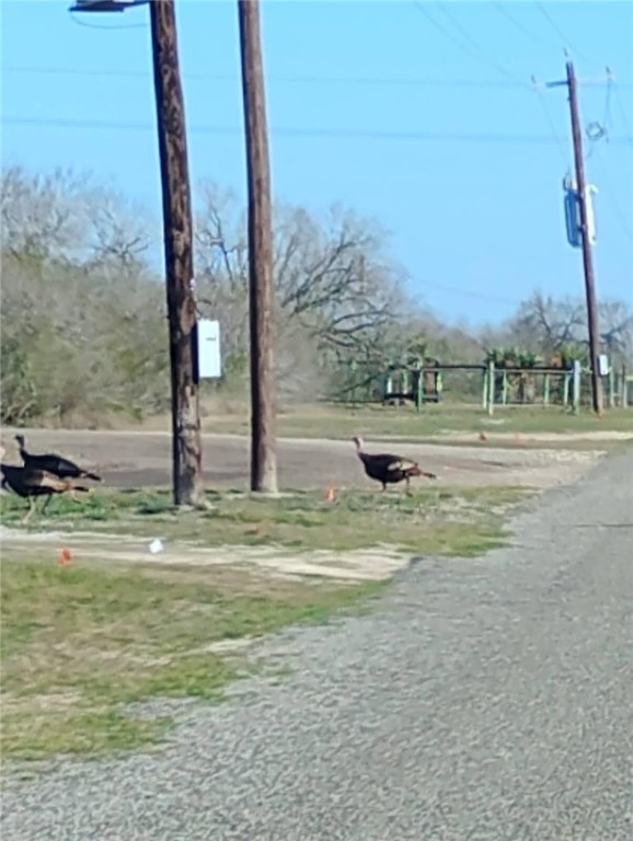 175 County Road 229 Cr Property Photo 10