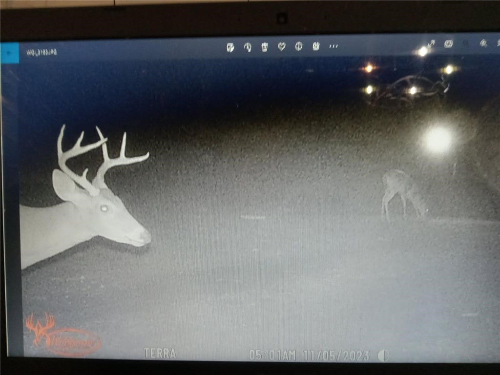 175 County Road 229 Cr Property Photo 11