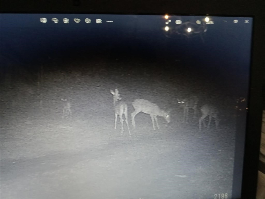 175 County Road 229 Cr Property Photo 12