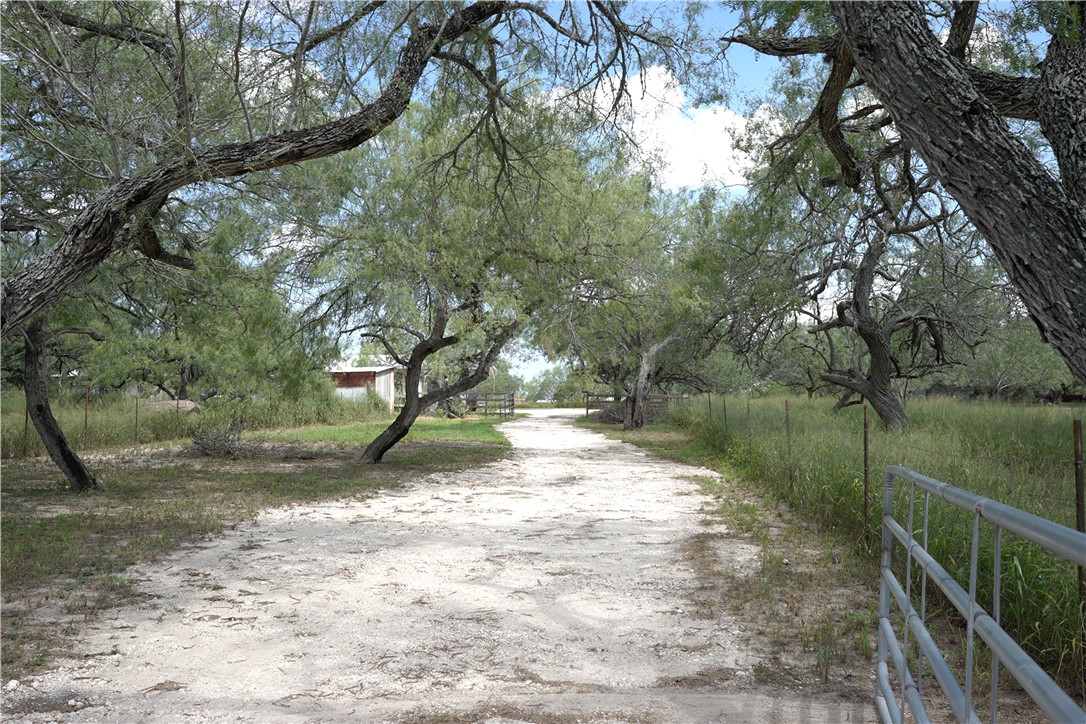 12318 Highway 359 Property Photo 4