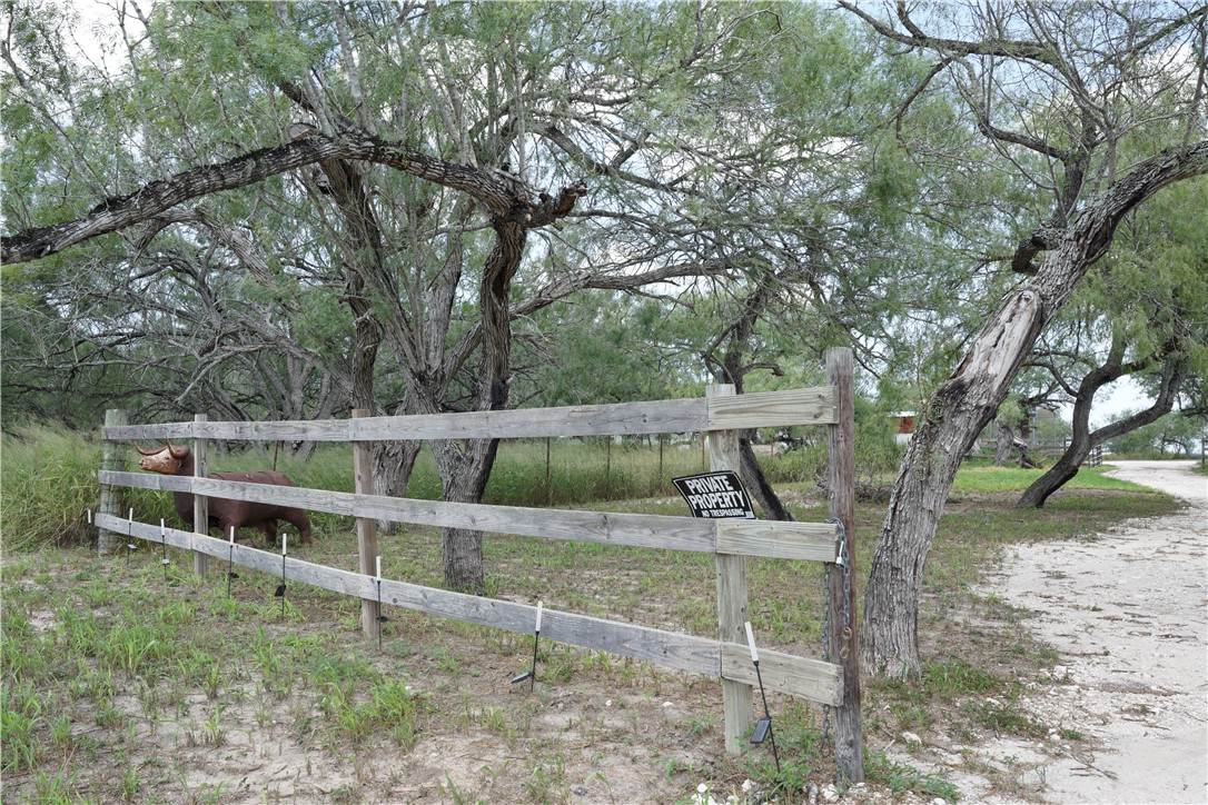 12318 Highway 359 Property Photo 5