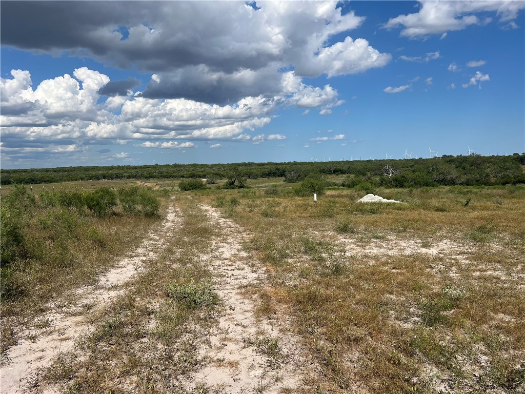 Tbd County Road 351 Property Photo 1