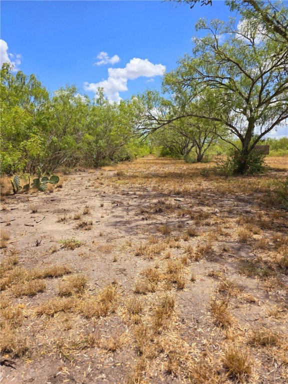 334 County Road 2391 Property Photo 20