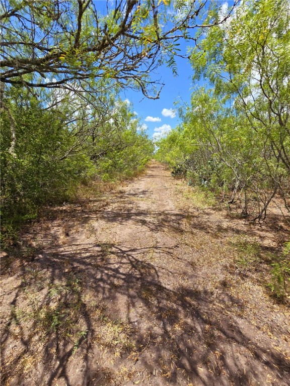 334 County Road 2391 Property Photo 21