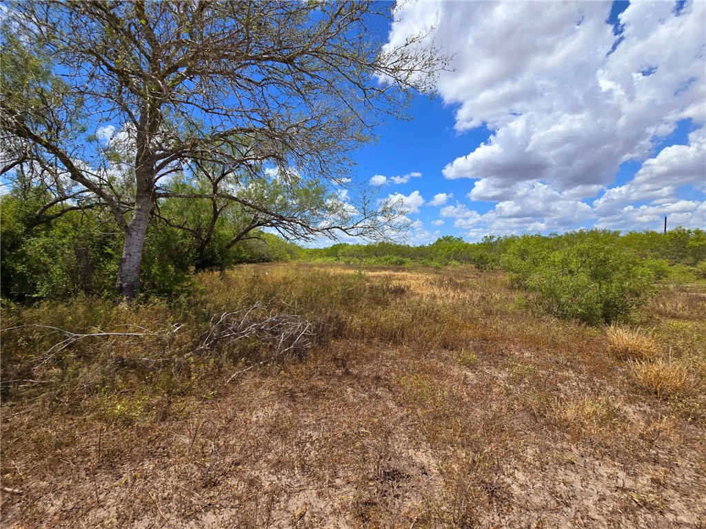 334 County Road 2391 Property Photo 22