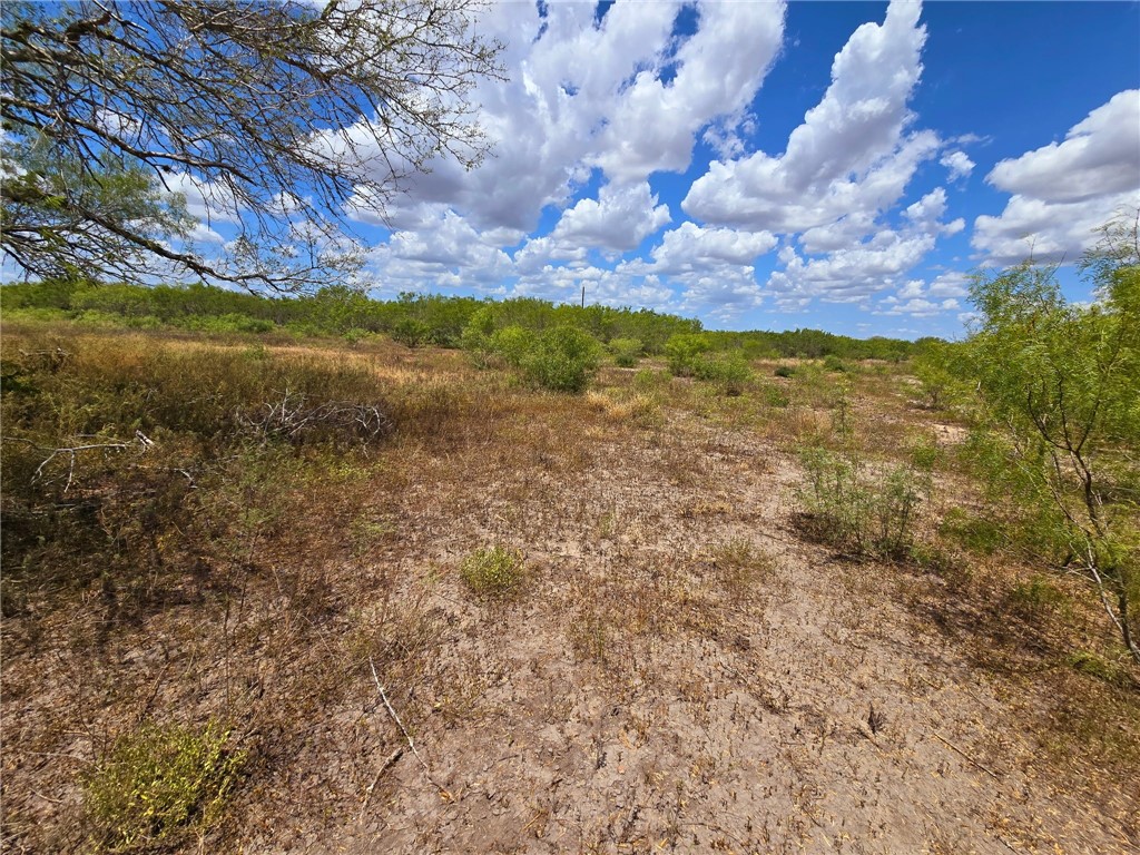 334 County Road 2391 Property Photo 23