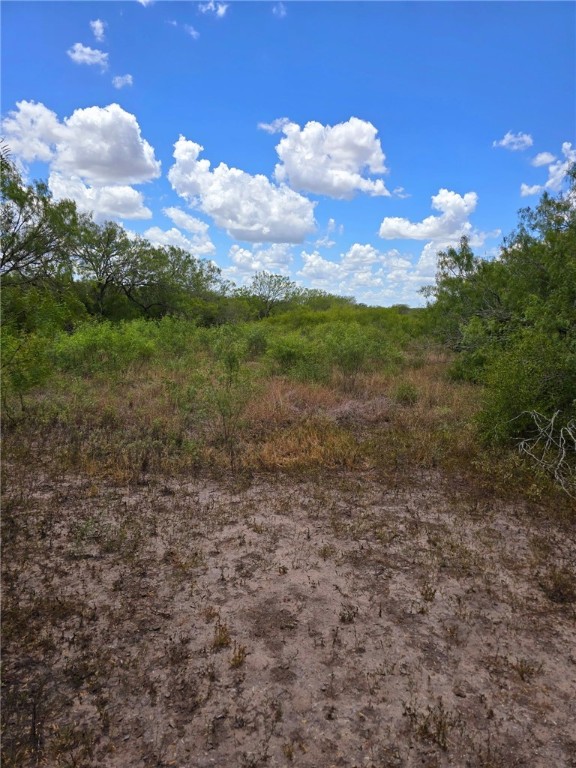 334 County Road 2391 Property Photo 24