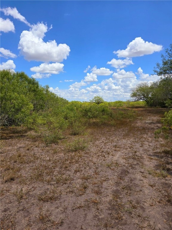 334 County Road 2391 Property Photo 25