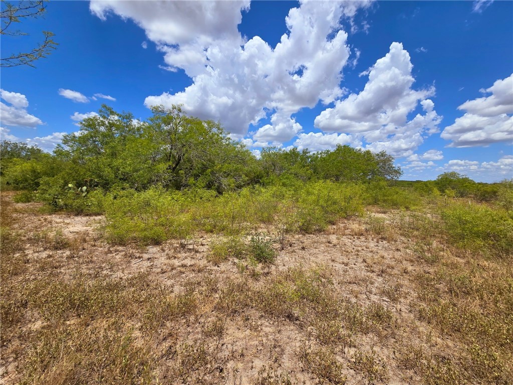 334 County Road 2391 Property Photo 26