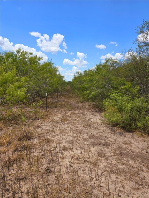 334 County Road 2391 Property Photo 27