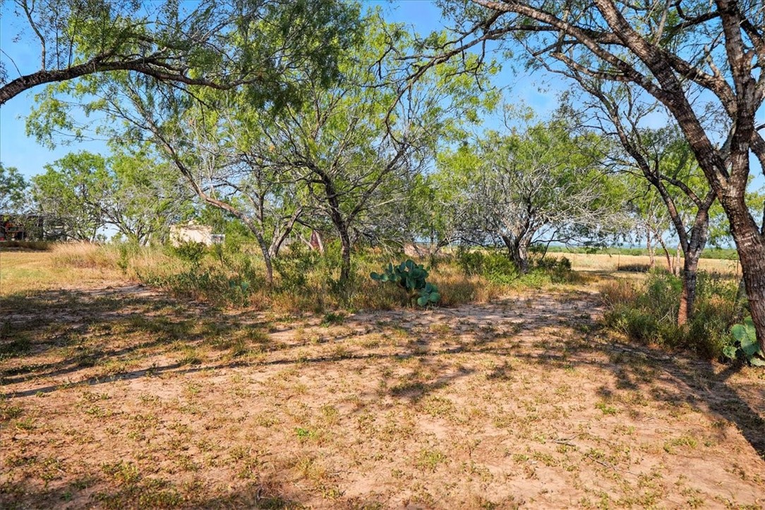 130 County Road 102 Property Photo 34