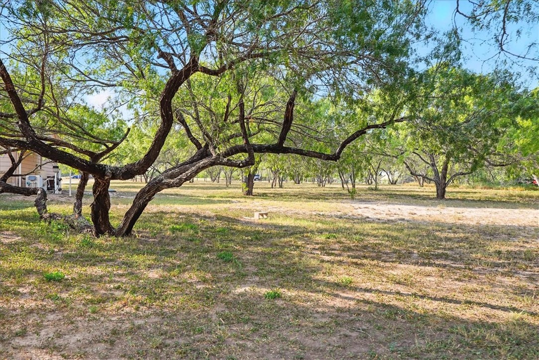 130 County Road 102 Property Photo 35