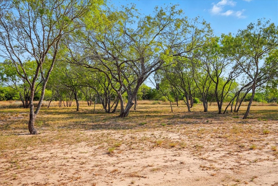 130 County Road 102 Property Photo 36