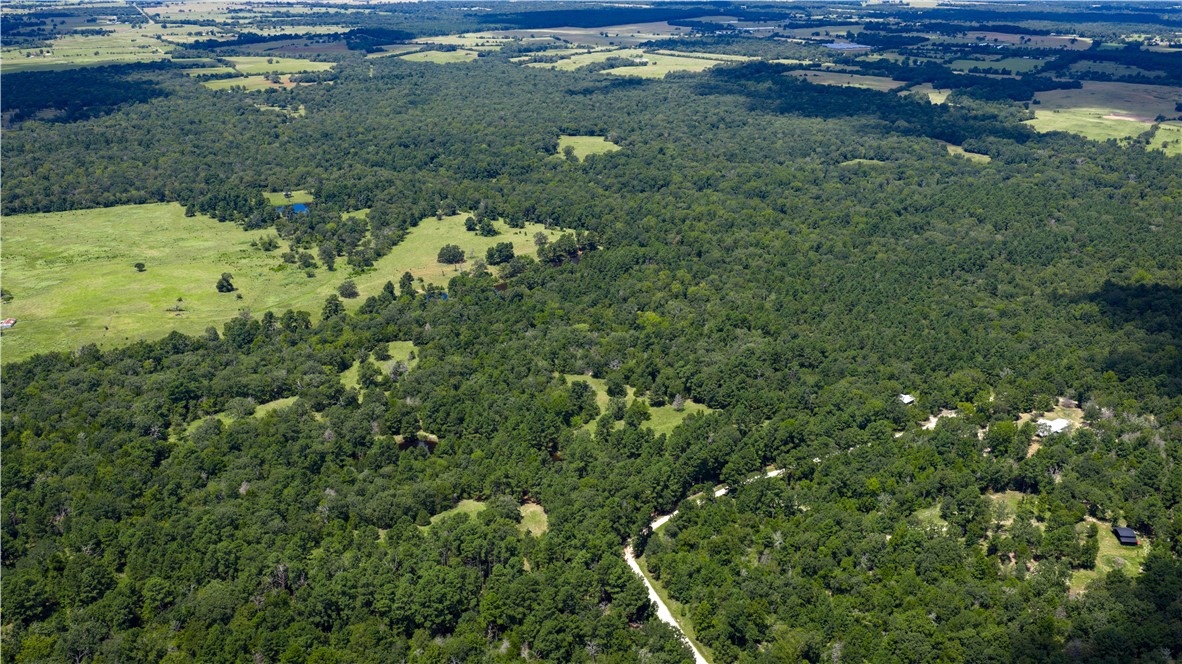 5550 Hamilton Hill Lane Property Photo 13