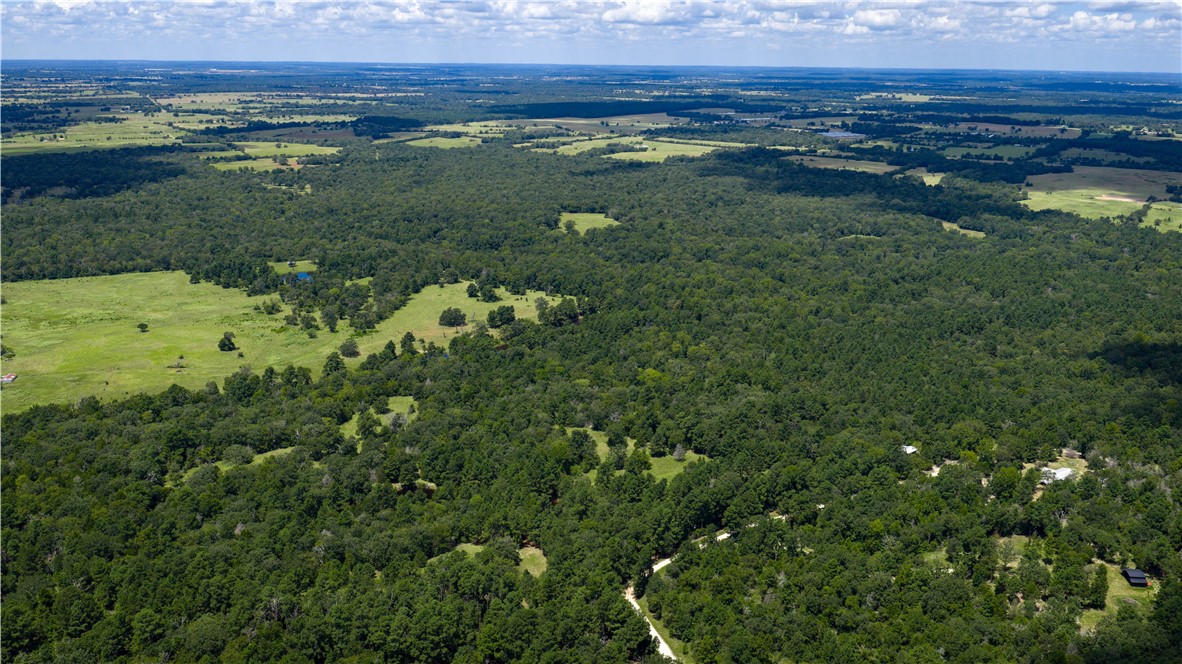 5550 Hamilton Hill Lane Property Photo 14