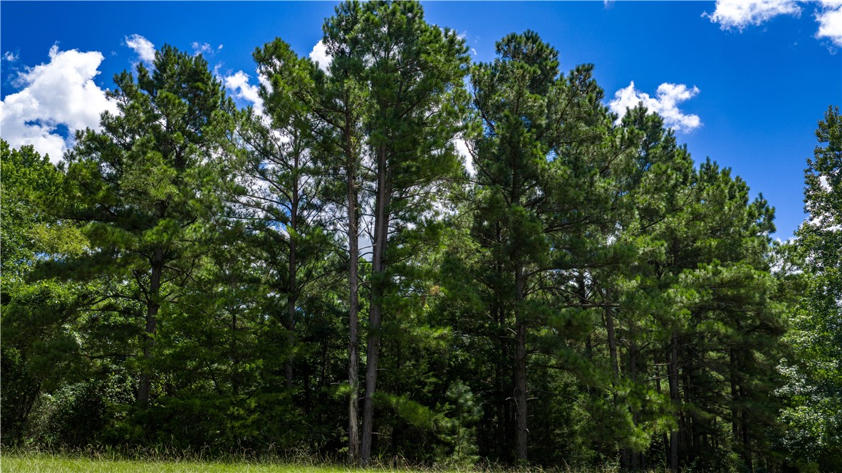 5550 Hamilton Hill Lane Property Photo 15