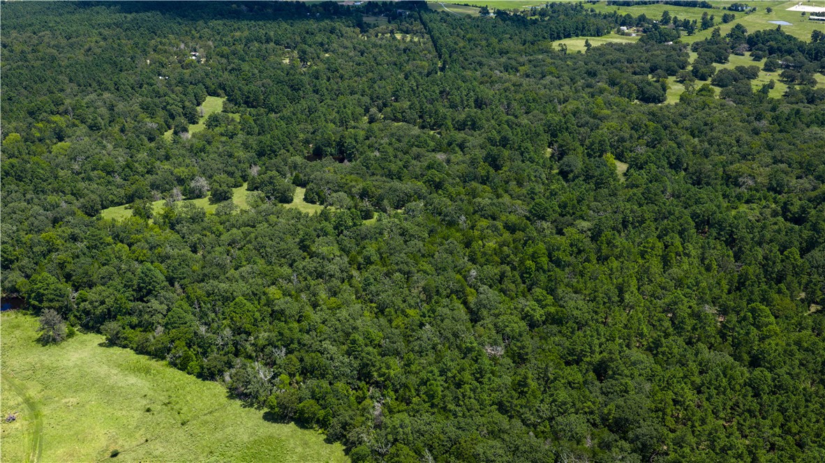 5550 Hamilton Hill Lane Property Photo 17